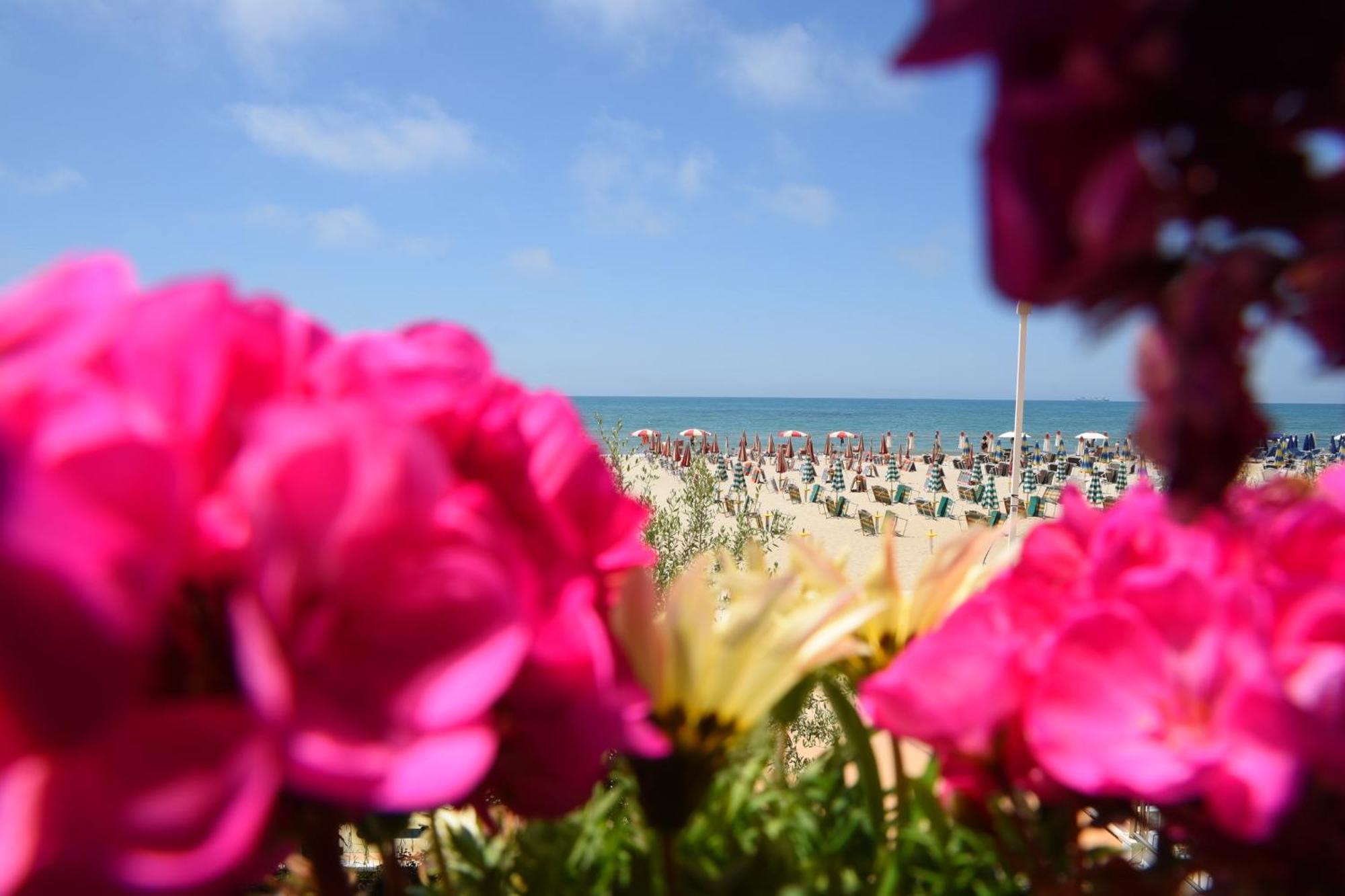 Vila Oxinn Kryemëdhej Dış mekan fotoğraf
